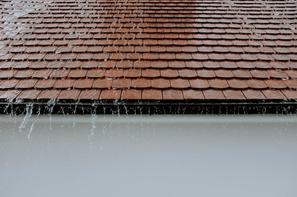 A downspout extension moving water away from a house foundation.
